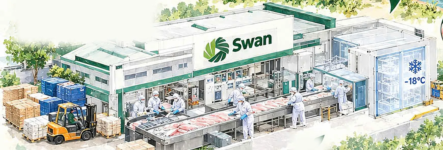 Nhà máy chế biến Swan với dây chuyền fillet và kho cấp đông −18°C