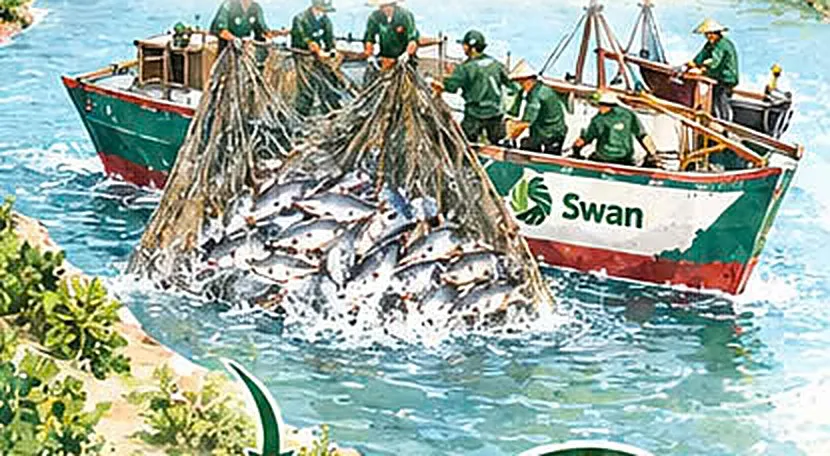 Workers harvesting fish with nets on a boat