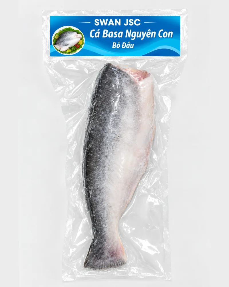 Frozen headless whole basa