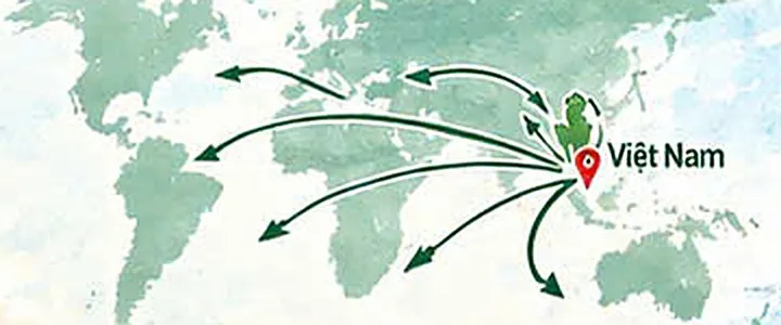 Map of export routes from Vietnam to the world