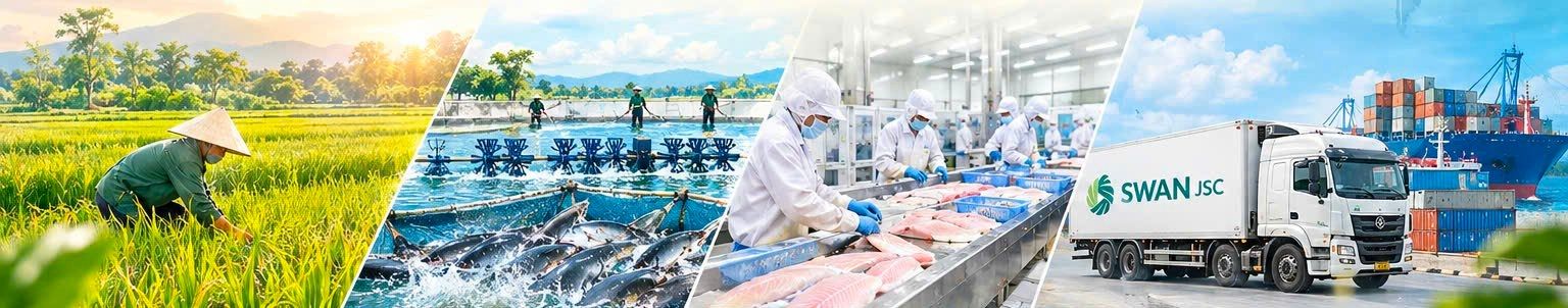 田んぼ、養殖池、加工工場、トラック、輸出船まで。SWANのバリューチェーン