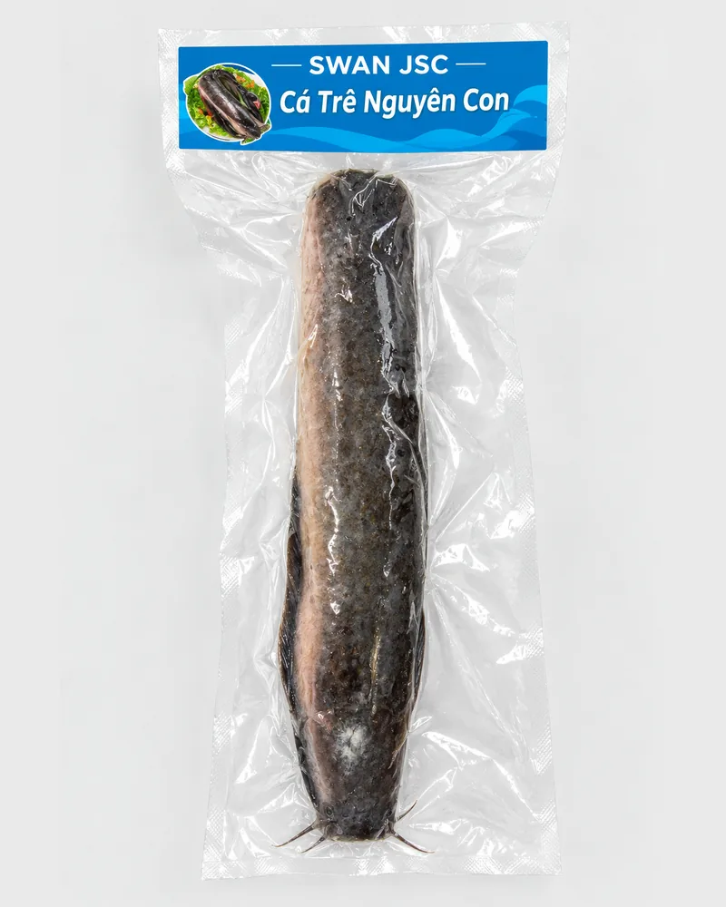 Frozen whole catfish