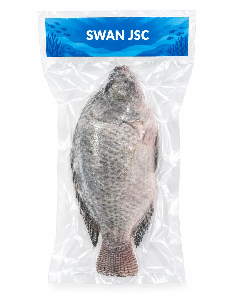 Frozen whole tilapia